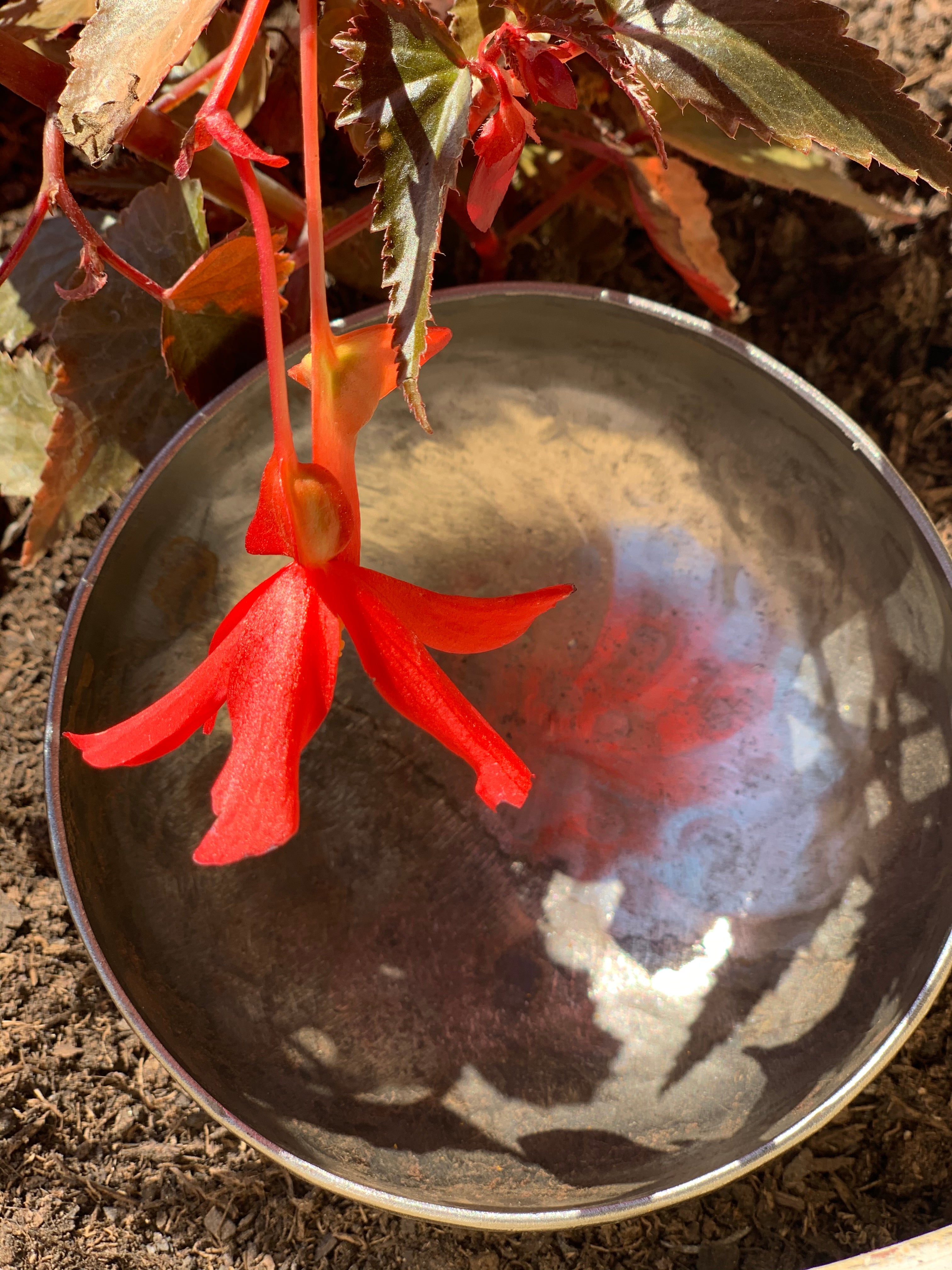 Cast Iron Cup/Bowl - Handcrafted Batta