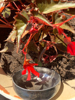 Charger l&#39;image dans la galerie, Cast Iron Cup/Bowl - Handcrafted Batta
